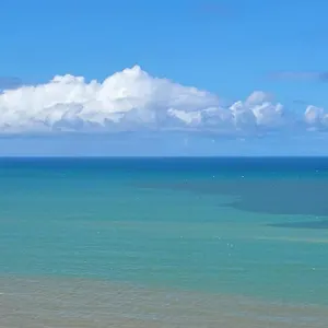 /